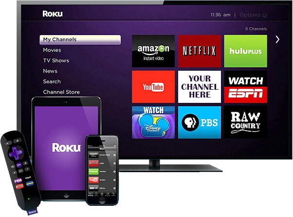 Why is My Roku TV Not Working?